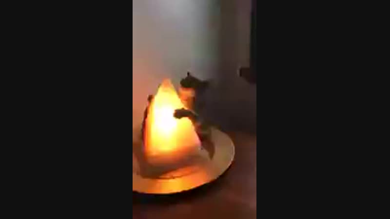 Обнимает лампу