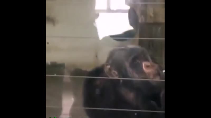 Ништяк,браток,ништяк