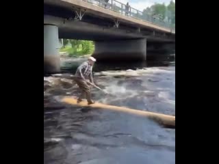 Loggers will often 'ride' a flotilla of logs down the river this retired logger shows he's still got it