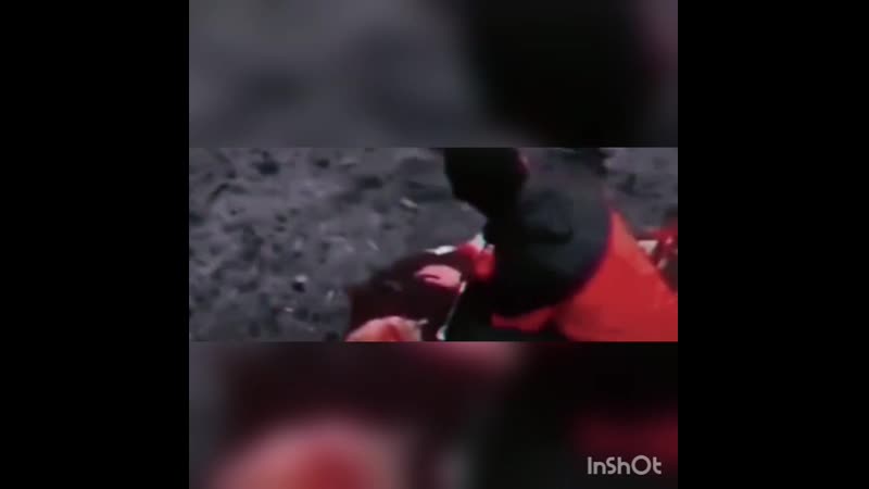 乡мамин модник папин оффник乡поймите это☝