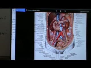 4 модуль, семинар 6(висцеральная сфера)день 3, ч 1