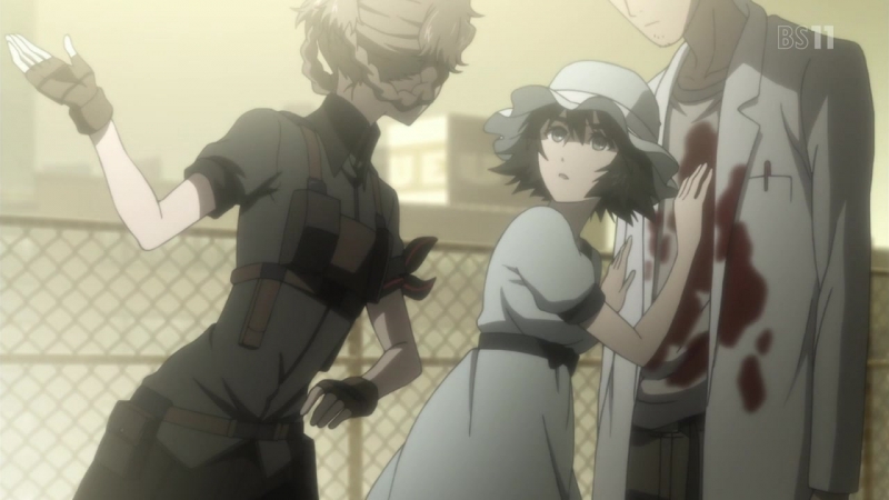 Steins;gate / врата штайнера / врата штейна 23 серия β (субтитры)