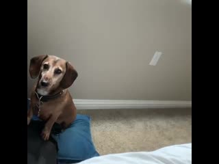 Mark pellegrino frankie waking me up