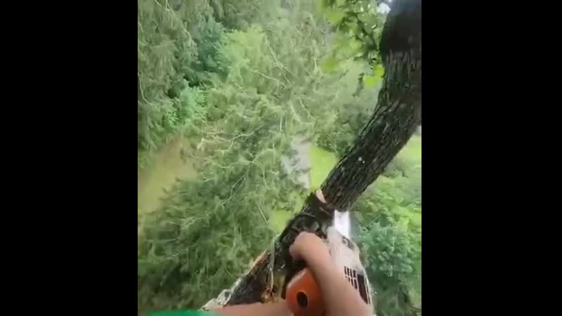 Шикарно сработали!