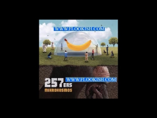 257ers holland ( mikrokosmos 2016 )