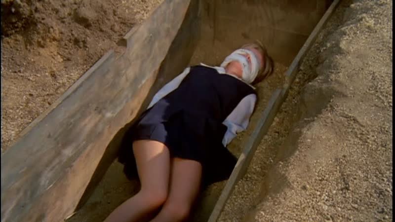 1973 похитители кэнди / the candy snatchers