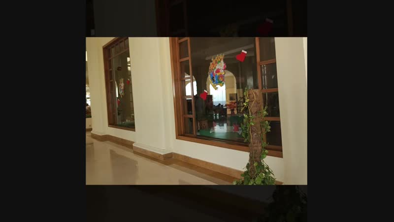 Siva sharm resort and spa 5*