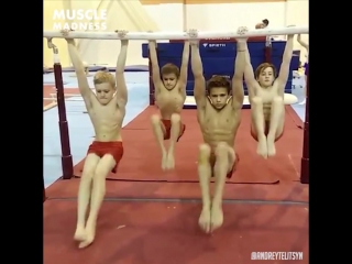 Молодые гимнасты