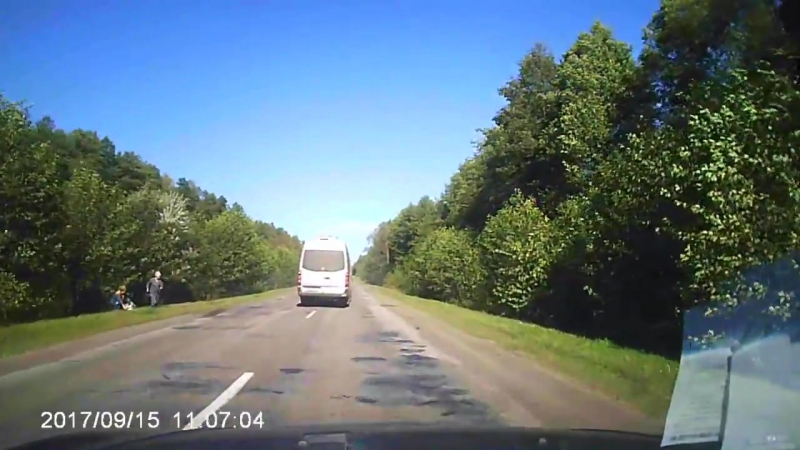 В чувашии сбытый лось отлетел в грибников