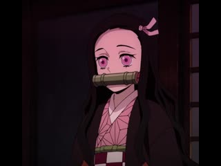 • zenitsu & nezuko •