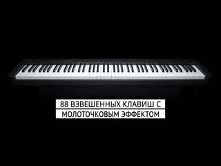 Цифровое пианино casio cdp s100