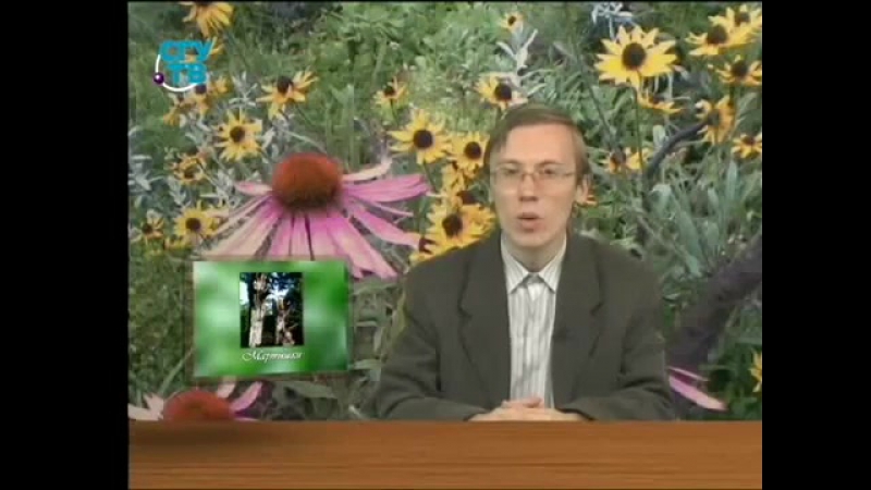 Экология porn video – Экология передача 3 удивительный мир живого часть 1