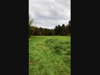 Haux on instagram (17 10 18)