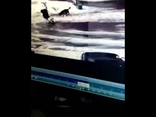 Almetyevsk only 20200313 7 mp4