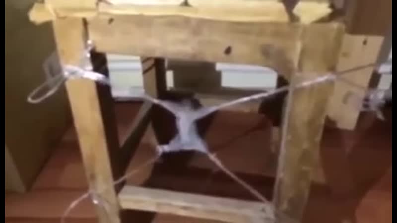 Андрея привязали к стулу и бьют палкой за дрочку на лолей