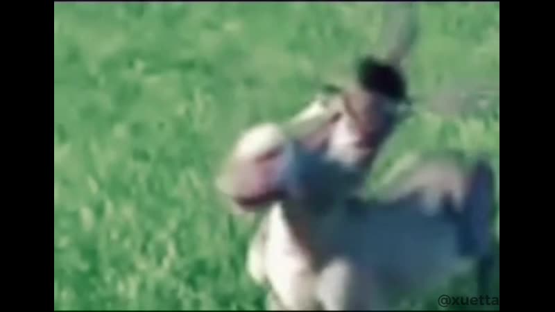 Дяденька дяденька дайте пажалуста чупа чупс))