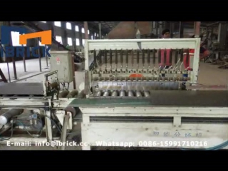 Brick vacuum extruder brick machine