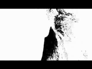 Bjork dull flame of desire