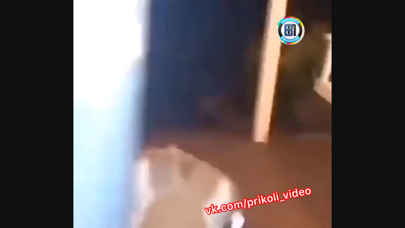 Открываешь porn video – Открываешь дверь, а там