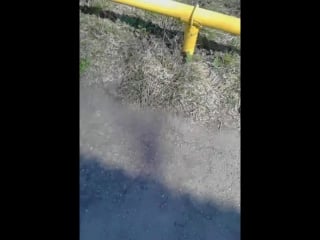 Первомай в жигулевске продолжение