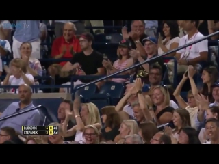 Amazing point wild celebration from stepanek v djokovic at 2016 rogers cup