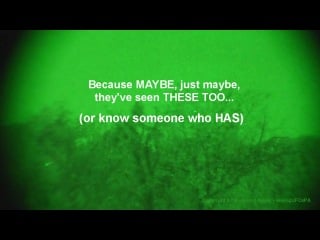 Morphing ufos hiding in the woods 21st september 2010