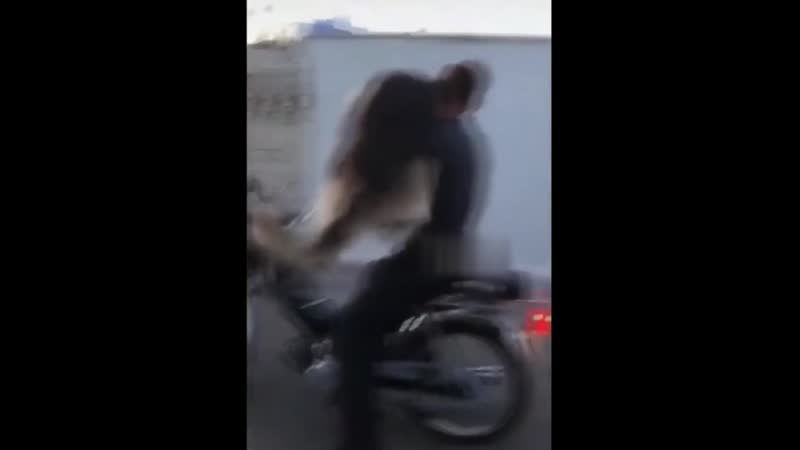 Мохнатый штурман