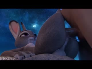 Comandorekin 20 (porn, sex, zootopia, judy)