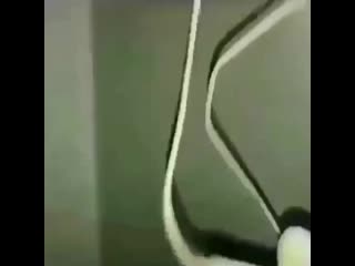 S mika 04 20200407 151835 0 mp4