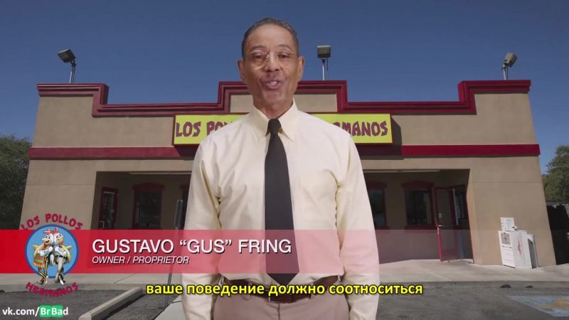 Братья цыплята обучающий ролик 5