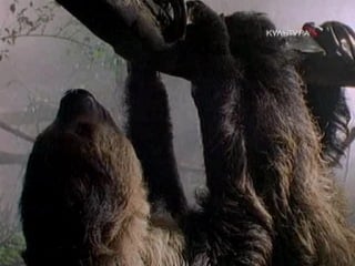 Bbc сверхъестественные способности молодые серия 04 восприятие времени