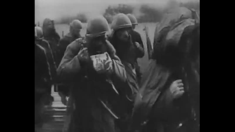 Егор летов дембельская