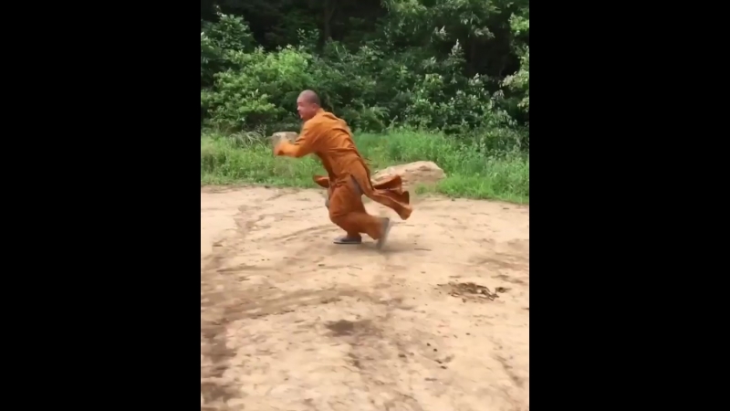 Shaolin kung fu