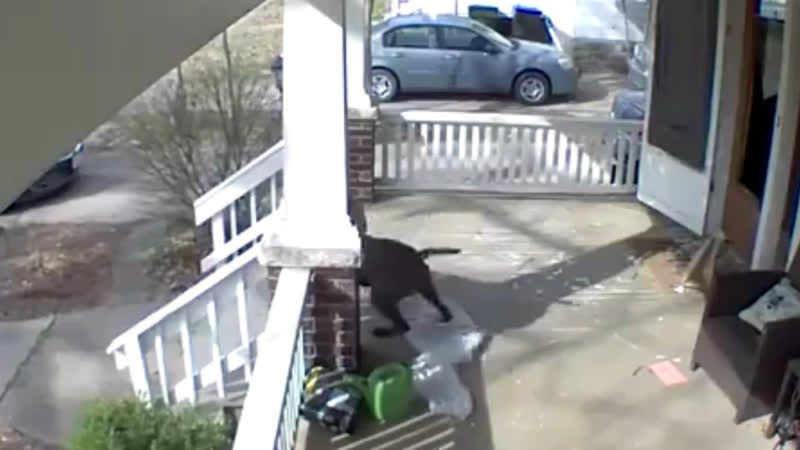 Будни пиндосных доставщиков суровы, но свободны и демократичны