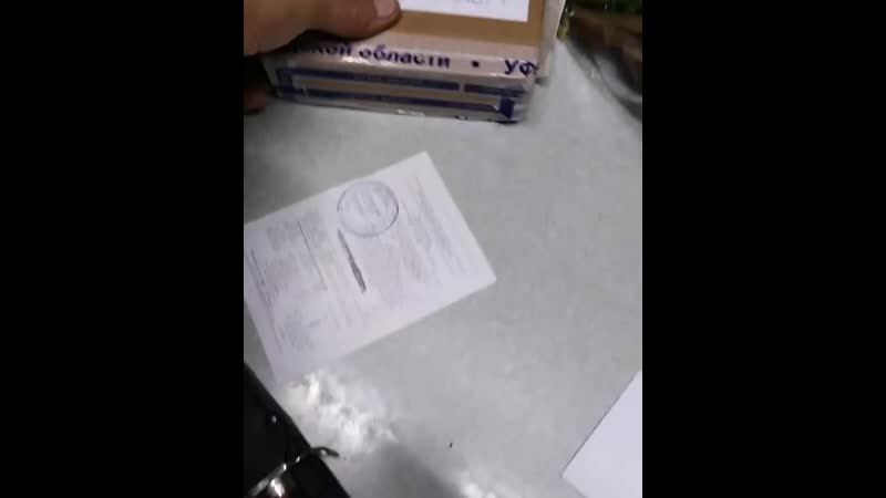 Финка прибыла к своему хозяину!