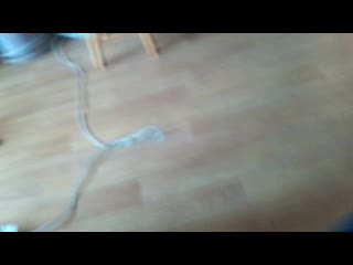 Vid 20200426 114240 mp4