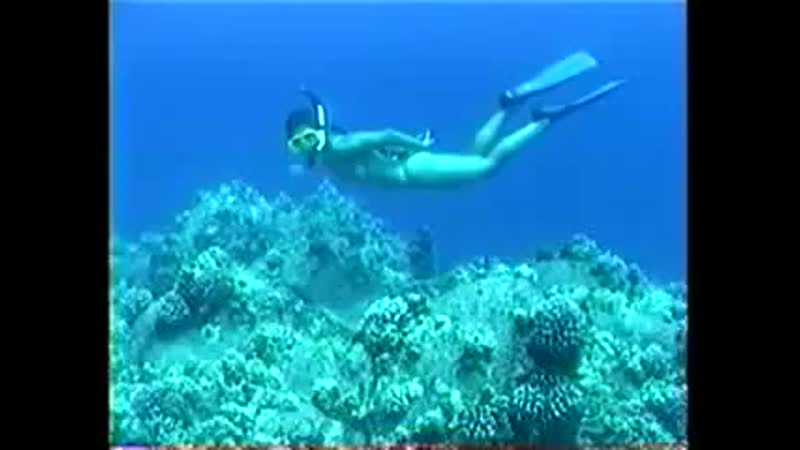 Freediving porn video – Bikini girl freediving