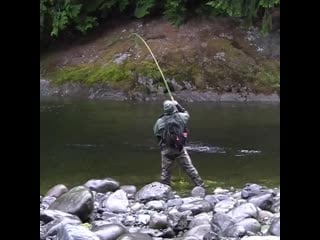 Красивые свечки семги