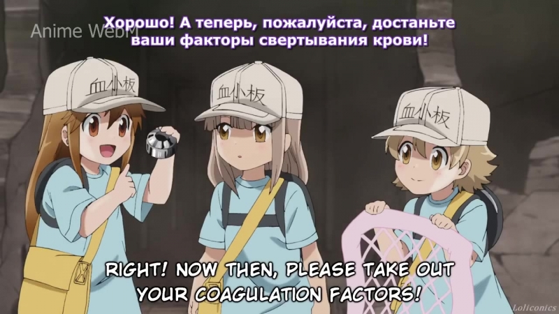 Porn on titan, hataraku saibou