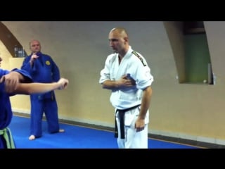 Real aikido branko вrescanski (4)