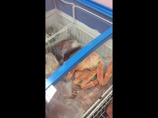 Видео от mrs crabs