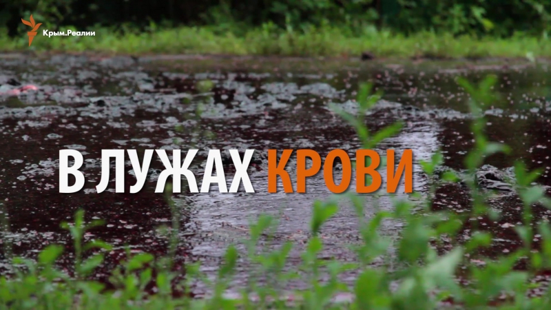 "молодые гостеприимство" для российского посла