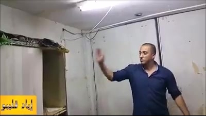 Огромный удав и суровый мужик