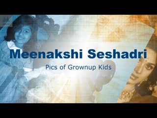 Bollywood actress meenakshi seshadri grownup porn