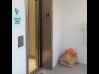 Ну и нахер я это делал (vhs video)