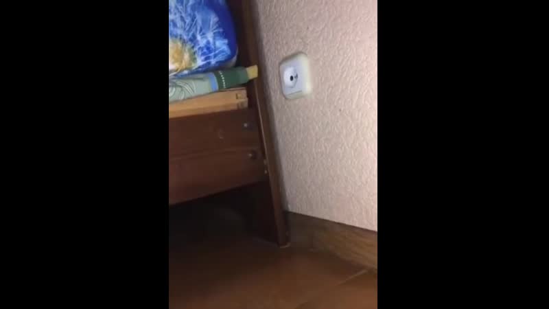 Вредная розетка