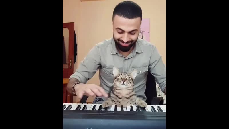 Sarper duman & cat