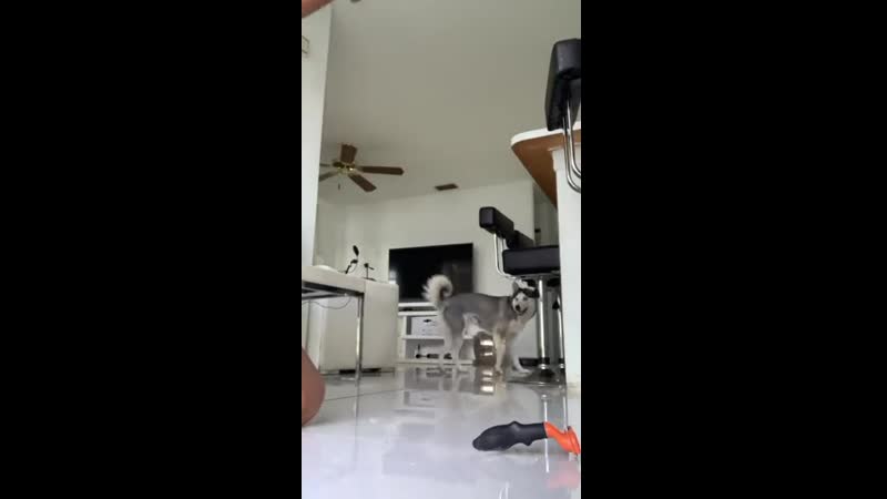 Врёшь, не возьмёшь