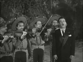 Cucurrucucú paloma pedro infante 1954