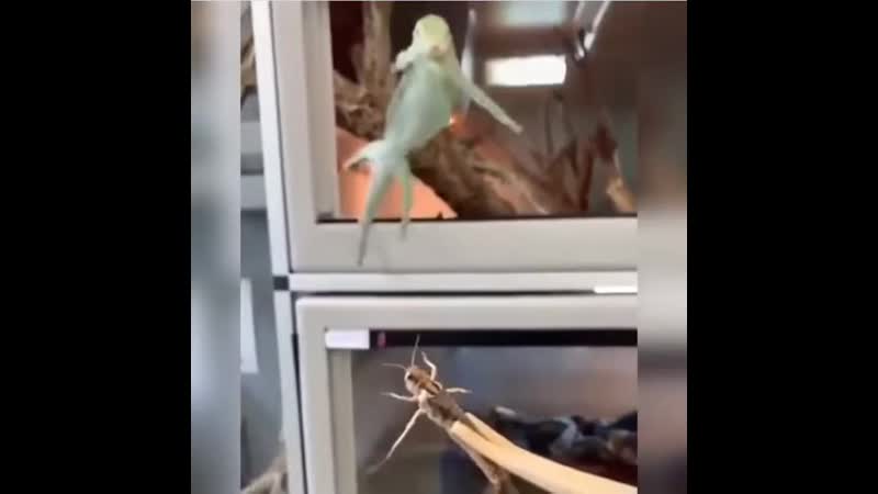 Он так был близок